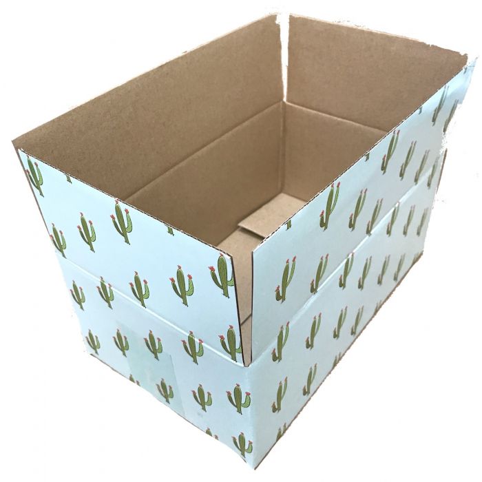 Get Box Dividers at Affordable Prices from Cactus Containers Based
