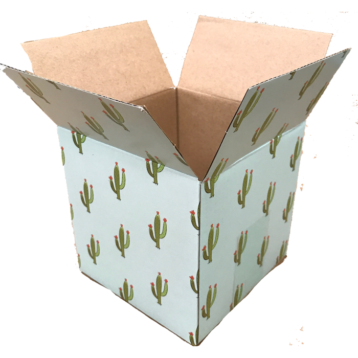 Bundle of 25 Decorative Cactus Designer Boxes Corrugated Cardboard Box Shipping Mailers Custom Printed Containers 10/” Length x 6/” Width x 4/” Height,
