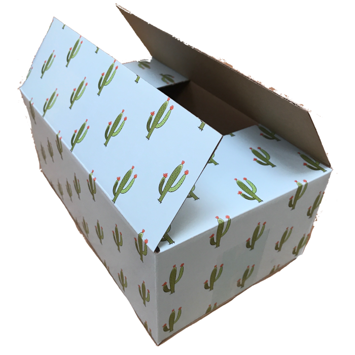 Bundle of 25 Decorative Cactus Designer Boxes Corrugated Cardboard Box Shipping Mailers Custom Printed Containers 10/” Length x 6/” Width x 4/” Height,