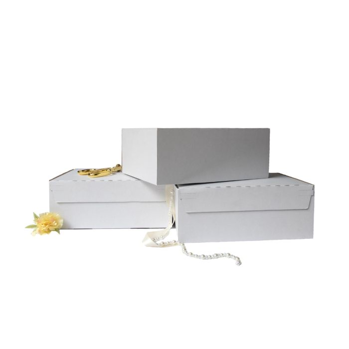 White Carton Box - 10x4x4