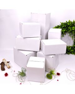 Shipping Box 8x6x6 White