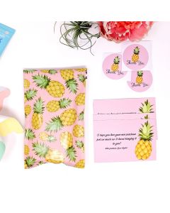 Pineapple SmileMail Perfect Package Kit 6x9
