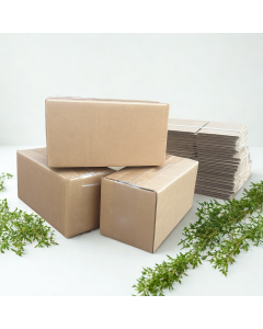 Shipping Box 8x4x4 Brown