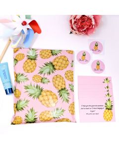 Pineapple SmileMail Perfect Package Kit 10x13