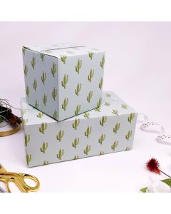 10x6x4 Cactus Designer Boxes