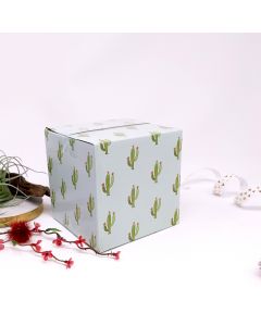 Cactus Shipping Boxes 5x5x5