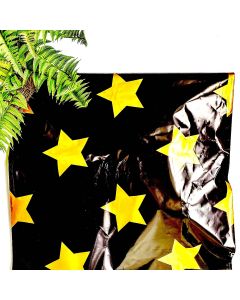 Gold Stars Black #SmileMail Poly Mailers 19x24