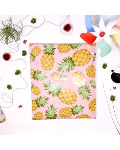 Designer Mailers Pineapple Poly Mailers 10x13