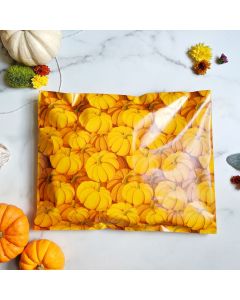 Pumpkins Poly Mailers 10x13