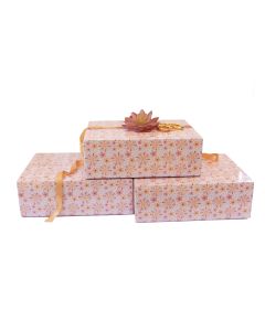 12x10x4 Sunshine Shipping Box